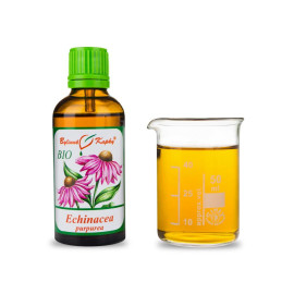 Picături de echinacea violet BIO (tinctură) 50 ml