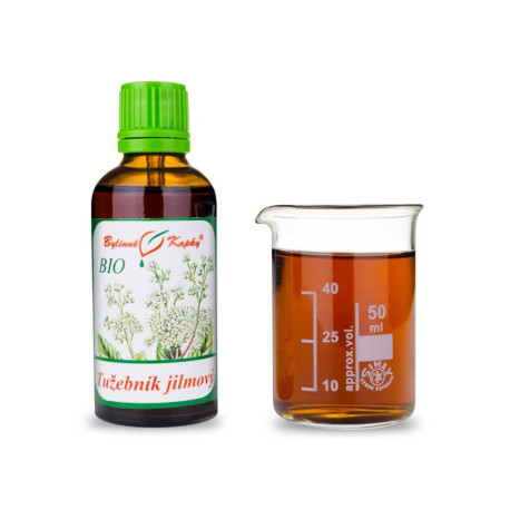 Picături de pliante cu flori de ulm dorind (tinctură) 50 ml