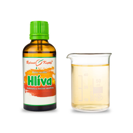 Ciupercă stridii - Picături din plante (tinctură) Plant Soul 50 ml