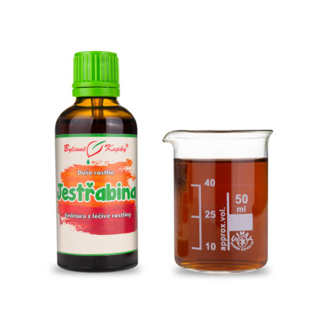Floare de pasăre Rowan - Picături de plante (tinctură) Suflet de plantă 50 ml