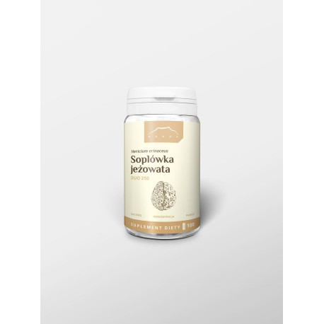 Coamă de leu DUO 400 mg x 100 capsule - 100