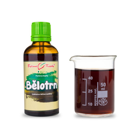 Picături de vrăjitoare cu cap rotund (tinctură) 50 ml