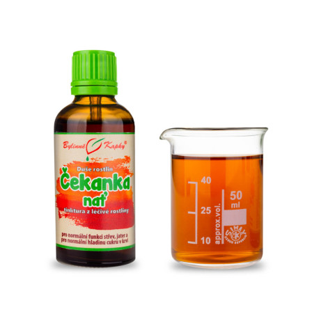 Cicoare - Picături din plante (tinctură) Plant Soul 50 ml