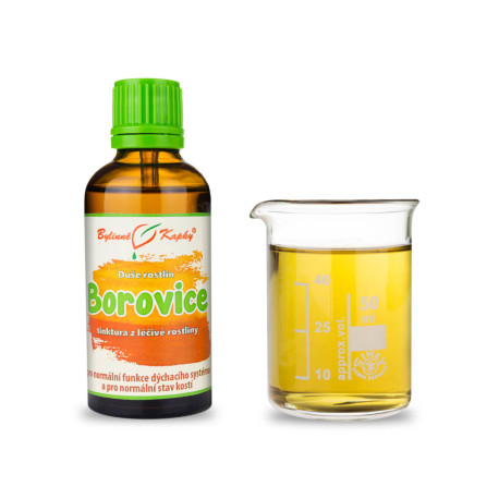 Pin - picături Suflet de plante (tinctură) 50 ml