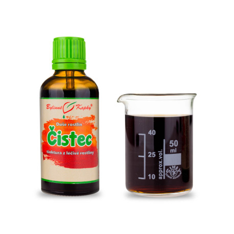 Forest Purslane - Picături de plante (tinctură) Plant Soul 50 ml