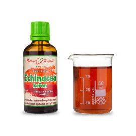 Echinacea Purple Root - Picături din plante (tinctură) Plant Soul 50 ml