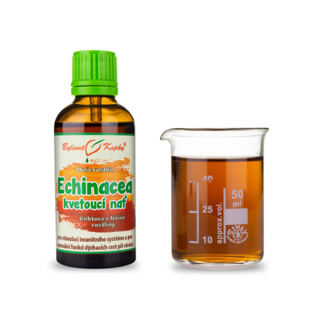 Echinacea Tulpină cu Flori Violete - Picături de Plante (Tinctură) Suflet de Plantă 50 ml