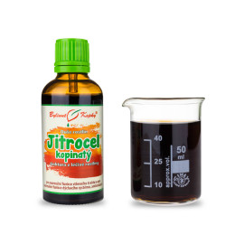 Pătlagină lanceolată - Picături din plante (tinctură) Suflet de plantă 50 ml