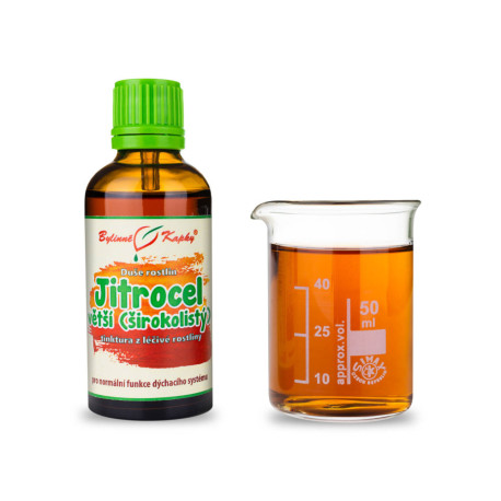 Greater Plantain - Picături din plante (tinctură) Plant Soul 50 ml