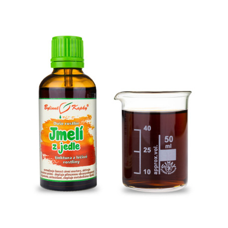 Vâsc din brad - Picături din plante (tinctură) Suflet de plante 50 ml