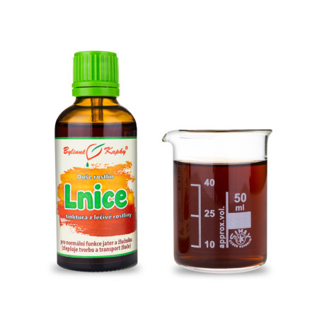 Buză comună - Picături pe bază de plante (tinctură) Plant Soul 50 ml