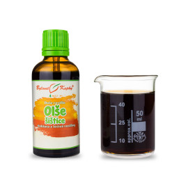 Conuri lipicioase de arin - Picături de plante (tinctură) Suflet de plante 50 ml