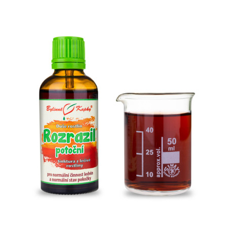 Veronika potočná - Picături din plante (tinctură) Suflet de plante 50 ml