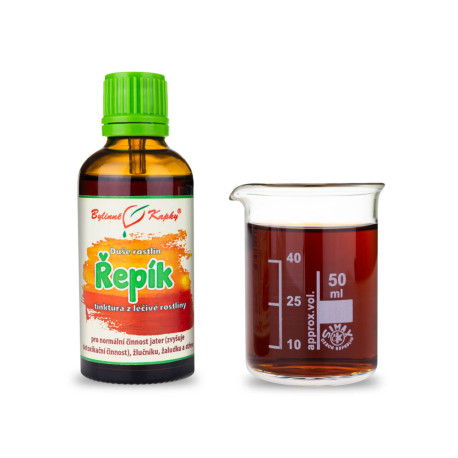 Brusture - Picături din plante (tinctură) Suflet de plante 50 ml