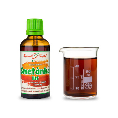 Frunze de păpădie - Picături din plante (tinctură) Suflet de plantă 50 ml