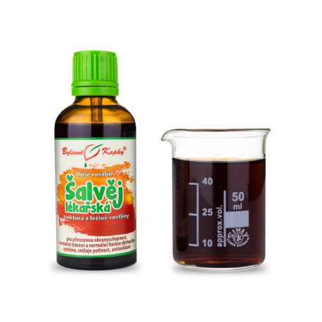 Salvie - Picături din plante (tinctură) Sufletul plantelor 50 ml