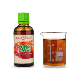 Varză iarbă - Picături din plante (tinctură) Suflet vegetal 50 ml