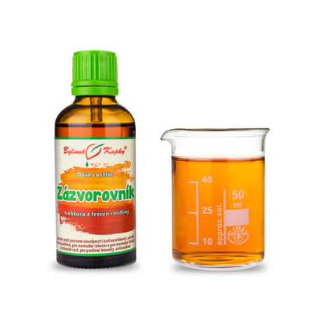Ghimbir - Picături din plante (tinctură) Sufletul plantelor 50 ml