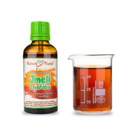 Vâsc de sorb - Picături de plante (tinctură) Suflet vegetal 50 ml