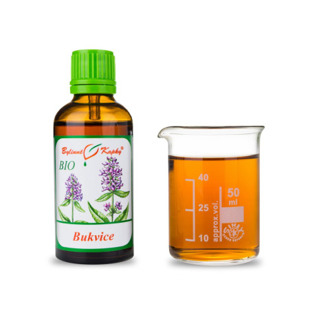 Betonika BIO picături (tinctură) 50 ml