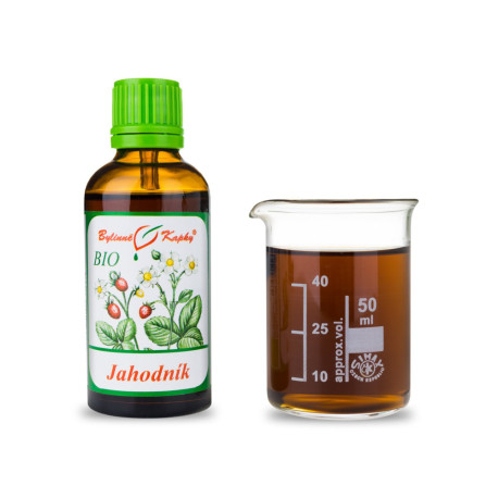 Frunze de căpșuni + floare picături BIO (tinctură) 50 ml