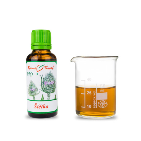 Perie de pânză picături BIO (tinctură) 30 ml