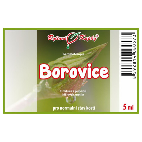 Muguri de pin 5 ml - gemmoterapie