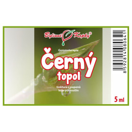 Muguri de plop negru 5 ml - gemmoterapie
