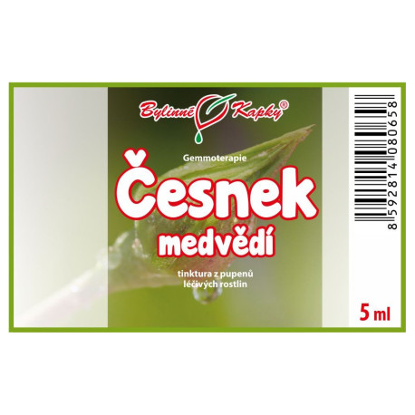 Muguri de urs de usturoi 5 ml - gemmoterapie