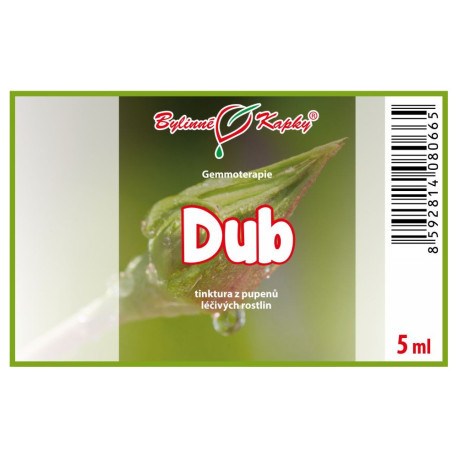 Muguri de stejar 5 ml - gemmoterapie