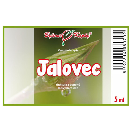 muguri de ienupăr 5 ml - gemmoterapie