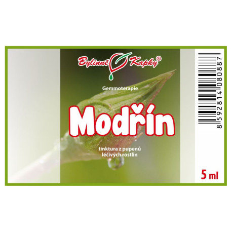 Muguri de larice de foioase 5 ml - gemmoterapie