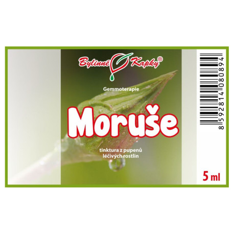 Muguri de dud 5 ml - gemmoterapie