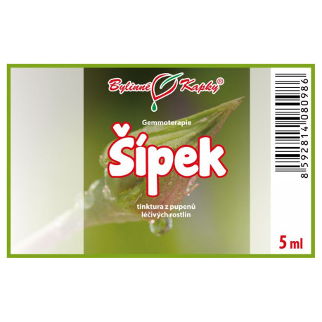 Muguri de măceșe 5 ml - gemmoterapie