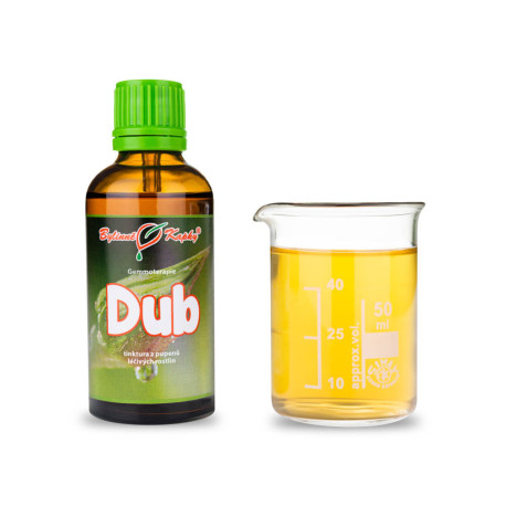 Muguri de stejar 50 ml - gemmoterapie
