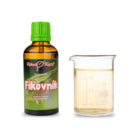 Muguri de smochin 50 ml - gemmoterapie