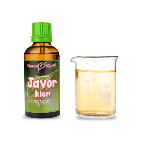 Muguri de arțar de munte 50 ml - gemmoterapie