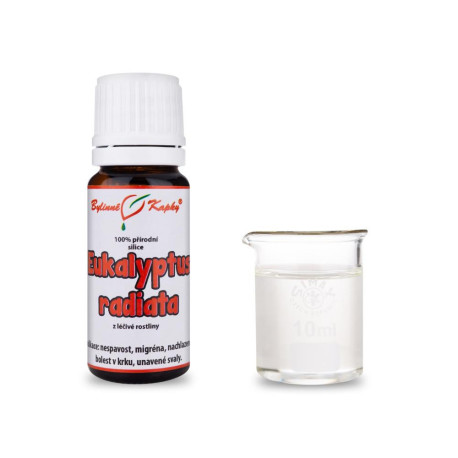 Eucalyptus radiata 100% uleiuri esențiale naturale - ulei esențial 10 ml