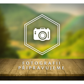 CZ BOX Fruct măcinat de Pălărie 15 x 120 g