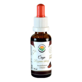 Chaga - incizie incizie Tinctură AF 30ml