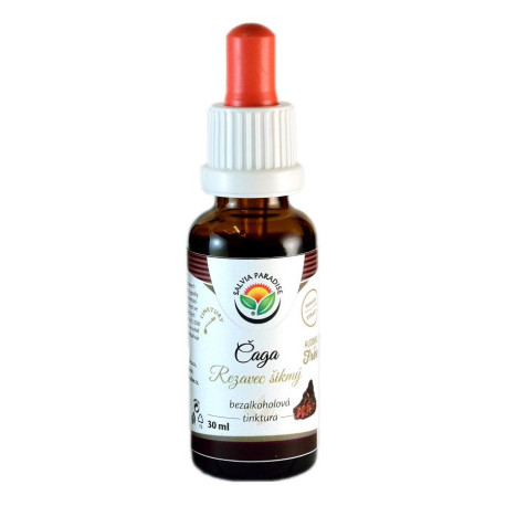 Chaga - incizie incizie Tinctură AF 30ml