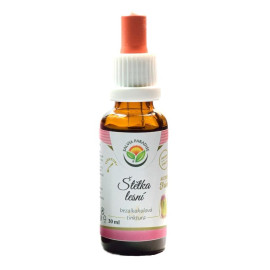Tinctură Forest Brush AF 30 ml