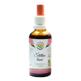 Tinctură Forest Brush AF 50 ml