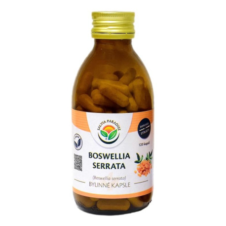 Boswellia serrata - capsule de tămâie 120 de bucăți