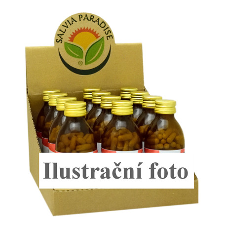 CZ BOX Eleutherococcus spinos - capsule de ginseng siberian 12 x 120 bucăți