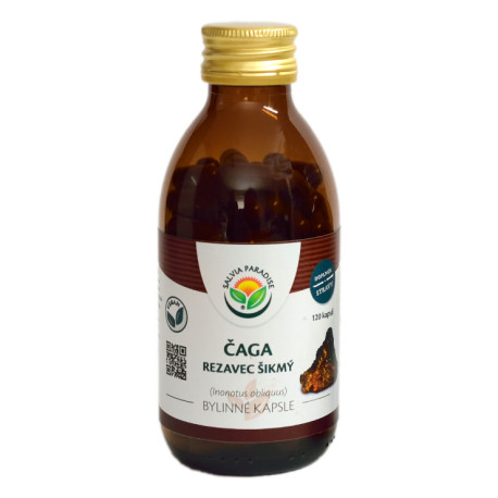 Chaga - capsule cu tăieturi înclinate 120 de bucăți