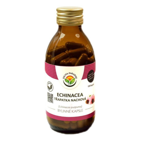 Echinacea - capsule mov de coneflower 120 bucăți