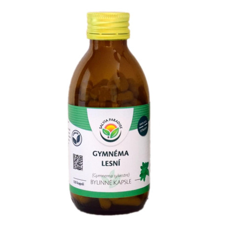 Gymnéma forest capsules 120 pcs