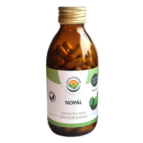 Nopal - capsule de chingi de spic 120 de bucăți