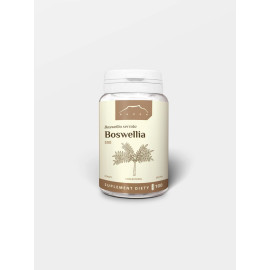 Boswellia 100 capsule x 500 mg - 100